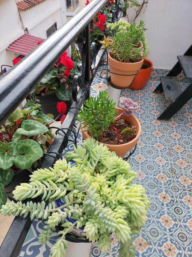 Private Terrace-Romantic-Sea, Castle Views-Central 알리칸테 외부 사진